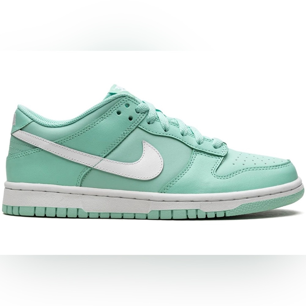 Nike Fresh Mint and White Sneakers